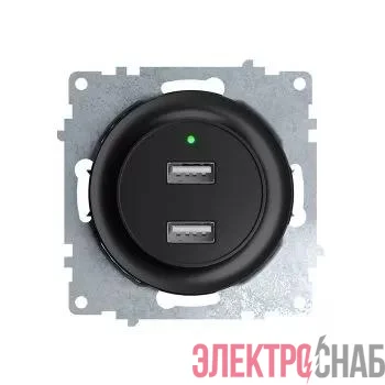 Розетка USB 2-м СП Florence 16А IP20 с подсветкой механизм черн. (1E10351303) OneKeyElectro 2260092