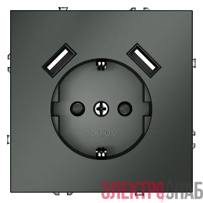 Розетка 1-м СП S70 16А с USB A+A с заземл. защ. шторки механизм титан Voltum VLS040406