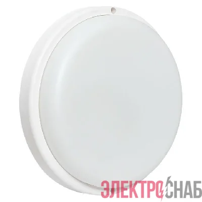 Светильник светодиодный ЖКХ ДПО-1006 24Вт 4000К IP65 круг LUMA EKF BKL-1006-R-24-4000