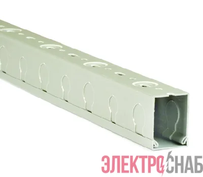 Кабель-канал перфорированный 100х50 L2000 TRD сер. DKC 08214
