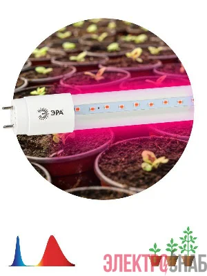 Лампа светодиодная FITO-18W-RB-Т8-G13-NL 18Вт T8 линейная 96LED 2835 IP20 35000ч для растений/для подсветки мясных витрин красн./син. спектр стекло Эра Б0042990