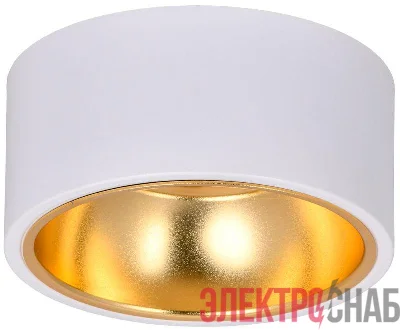 Светильник 4017 накладной потолочный под лампу GX53 бел./золото IEK LT-UPB0-4017-GX53-1-K55