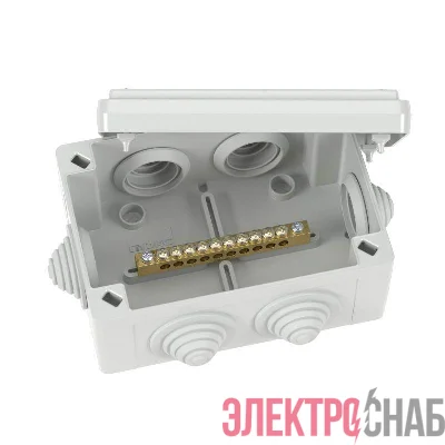 Коробка уравнивания потенциалов 10 зажимов 6 вводов д.25мм 120х80х50мм IP55 DKC NE3110