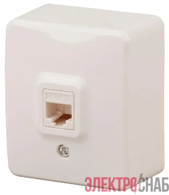 Розетка информационная RJ45 ОП 11-3203-02 Эксперт сл. кость ЭРА Б0020731