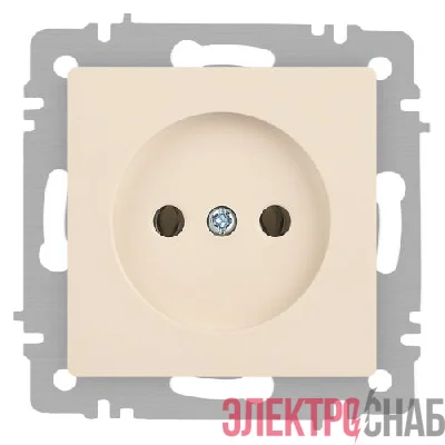 Розетка 1-м СП Accent 6-201-02 16А IP20 250В 2P сл. кость Intro Б0063659