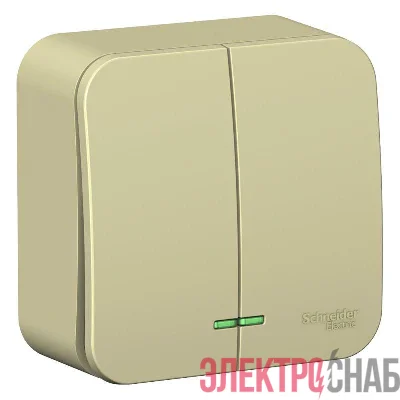 Выключатель 2-кл. ОП Blanca 10А IP20 (сх. 5) 250В с подсветкой с изолир. пластиной беж. SE BLNVA105117