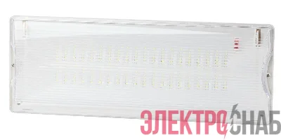 Светильник светодиодный DPA-301-0-65 40LED 3ч IP65 аварийный непостоянный Эра Б0044405