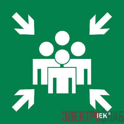 Этикетка самоклеящаяся 150х150мм "Место сбора" IEK LPC10-1-15-15-MSTS