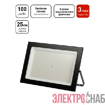 Прожектор светодиодный PRO LPR-062-0-65K-300 300Вт IP65 6500К призма Эра Б0065943