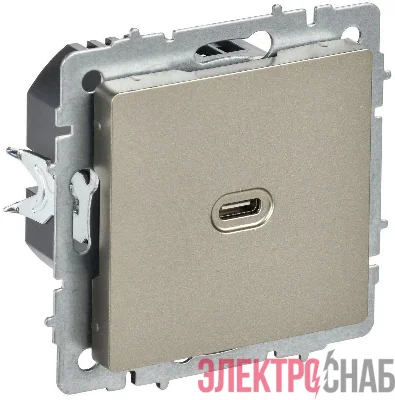 Розетка СП BRITE USB C 65Вт высокоскор. заряд. РЮ12-1-БрШ шампань IEK BR-U13-065-K37