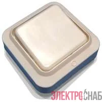 Выключатель 1-кл. ОП 6.3А IP20 А16-У01 бел. БЕЛ. ЦЕРКОВЬ А16-У01