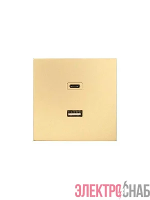Розетка Type-C+ USB разъем СП ZIMA IP20 зол. LEZARD 704-3688-192TC
