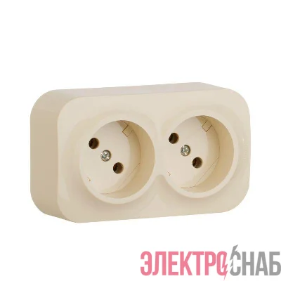 Розетка 2-м ОП Quteo 16А IP20 без заземл. сл. кость Leg 782242
