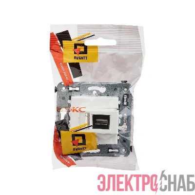 Розетка USB 2.0 1-м СП Avanti "Белое облако" тип А-А DKC 4400403