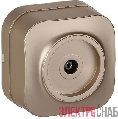 Розетка телевизионная TV 1-м ОП GLORY РТВ20-ХШм шампань матов. IEK EAH10-K37M