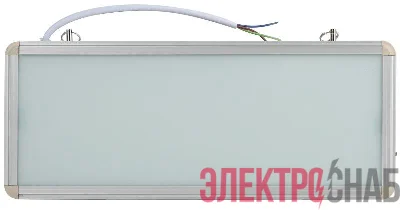 Светильник светодиодный SSA-101-0-20 3ч 3Вт без текста аварийныйЭРА Б0044387