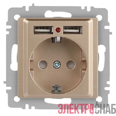 Розетка 1-м СП Accent 6-410-04 16А IP20 250В P+E Schuko + 2хUSB защ. шторки шампань Intro Б0063696