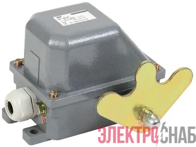 Выключатель концевой КУ-704 У1 W- образный рычаг 10А IP44 2 эл. цепи IEK KV-1-704-1