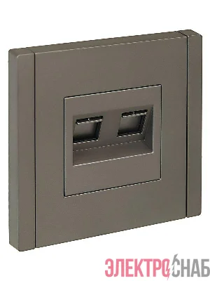 Розетка 2-м RJ11+RJ45 кат.5E FORTE&PIANO FP535 сталь IEK FP-KT20-O-1-K46
