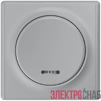 Выключатель 1-кл. СП Florence 10А IP20 с подсветкой механизм сер. 1E31701302 OneKeyElectro 2172847