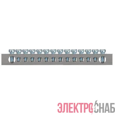 Шина PEN земля-ноль 6х9мм 14/2 никелированная с креплениями по краям NO-224-86 Эра Б0062982