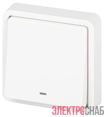 Выключатель Эксперт 11-1522-01 с подсветкой IP55 10АХ-250В СУ бел. Эра Б0063279