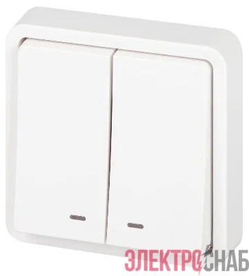 Выключатель Эксперт 11-1525-01 двойн. с подсветкой IP55 10АХ-250В СУ бел. Эра Б0063304