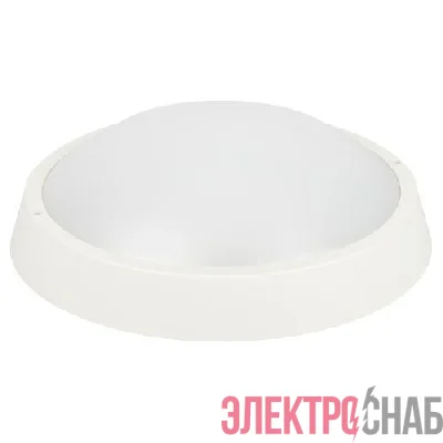 Светильник светодиодный SPB-203-0-40К-024 24Вт 4000К IP65 2040лм ЖКХ D320мм КРУГ бел. Эра Б0062728