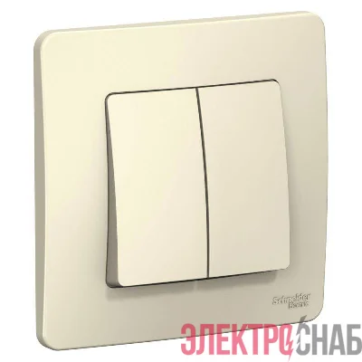 Выключатель 2-кл. СП Blanca 6А IP20 (сх. 5) 250В молочн. SE BLNVS006502