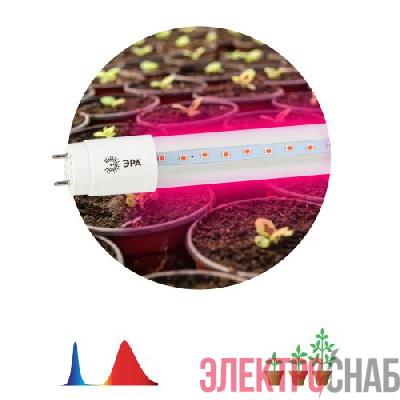 Лампа светодиодная FITO-9W-RB-Т8-G13-NL 9Вт T8 линейная 48LED 2835 IP20 35000ч для растений красн./син. спектр стекло Эра Б0042986