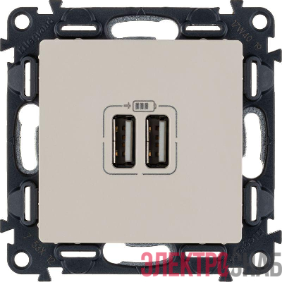 Розетка USB 2-м Valena Life 240В/5В 1500мА с лицев. панелью механизм сл. кость Leg 753512