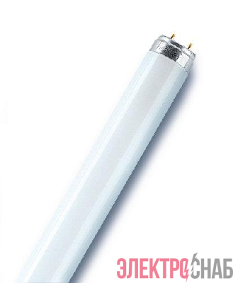 Лампа люминесцентная L 58W/840 LUMILUX 58Вт T8 4000К G13 смол. OSRAM 4058075692916