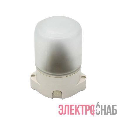Светильник "Банник" НББ 01-60-001 Цилиндр УХЛ1 1х60Вт E27 IP65 230В -45…+125град.C Свет Витебск 0111-00010