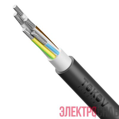 Кабель TOKOV ELECTRIC АВВГнг(А)-LS 5х25 МК (N PE) 0.66кВ (м) 00-00072434