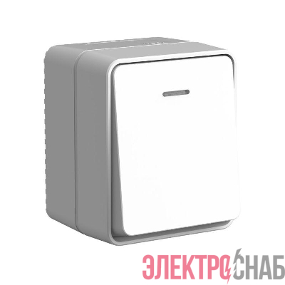 Выключатель 1-кл. ОП AtlasDesign PROFI IP54 с подсветкой 10 АХ сер. SE ATN543013