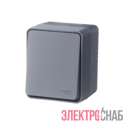 Выключатель 1-кл. ОП AtlasDesign PROFI IP54 10AX антрацит SE ATN544011