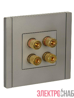 Аудиорозетка 4-м FORTE&PIANO FP539 сталь IEK FP-S40-K46