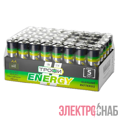 Элемент питания алкалиновый AA/LR6-40 bulk Eco (уп.40шт) Трофи Б0027815