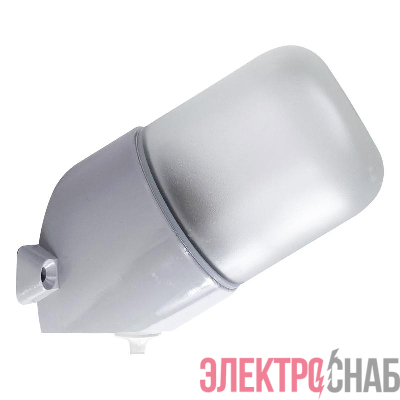 Светильник НББ 19-60-002 "Линда" d110 1х60Вт E27 IP65 t=80град. корпус наклонный сер. Элетех 1005050019