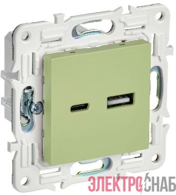 Розетка USB A+C 3.1А SKANDY SK-R14G мятный IEK SK-U22-D31-K06