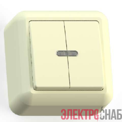 Выключатель 2-кл. ОП Оптима 10А IP20 А510-387 с индикацией с монтаж. пластиной сл. кость Кунцево 8034