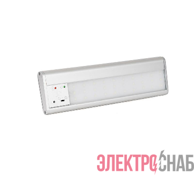 Светильник аварийный SKAT LT-2330 LED Бастион 2450