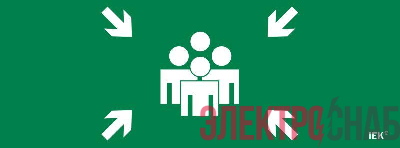 Этикетка самоклеящаяся 350х130мм "Место сбора" IEK LPC10-1-35-13-MSTS