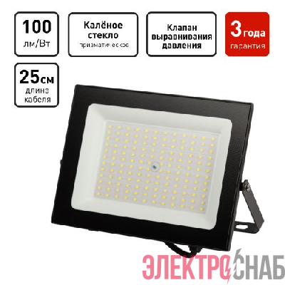 Прожектор светодиодный PRO LPR-062-0-65K-100 100Вт 10000лм 6500К IP65 призма Эра Б0064701