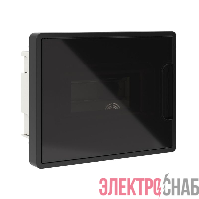 Щиток встраиваемый Фрейм (FRAME) ЩРв-п-8 8мод. с тонированной дверцей с 2 шинами PEN на 6 и 8 отверст. черн. DKC F08B1BD