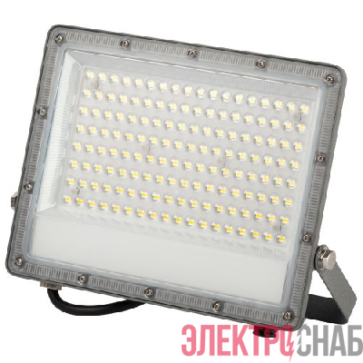 Прожектор светодиодный PRO LPR-063-0-65K-100 100Вт 6500К IP65 10000лм Г 90град. сер. Эра Б0067743