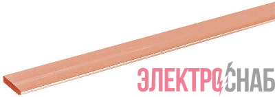 Шина М1Т 10х100 L4000 IEK YBC10-10-100