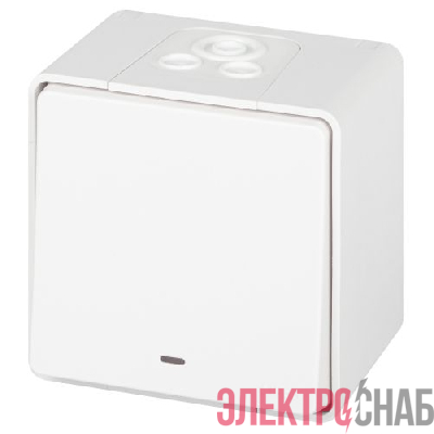 Переключатель Эксперт 11-1507-01 с подсветкой IP55 10АХ-250В ОУ бел. Эра Б0063255