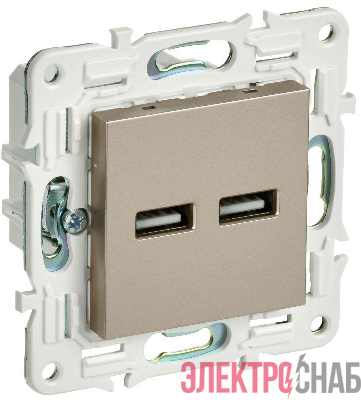 Розетка USB A+A 3.1А SKANDY SK-R15Sh шампань IEK SK-U21-D31-K37