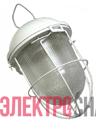 Светильник НСП 02-100-003 с решеткой Владасвет 10112